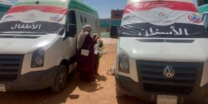 توقيع الكشف الطبى المجانى لـ1000مواطن ومواطنة بقافلة طبية بقرية المقلة بأبوالريش بأسوان - الكويت الاخباري