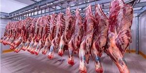 أسعار اللحوم الحمراء اليوم السبت - الكويت الاخباري