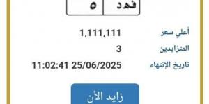 تخطت الـ «مليون جنيه».. مزايدة نارية على لوحة سيارة مميزة - الكويت الاخباري