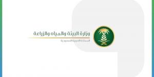 1 محرم بيع المواشي الحية بالوزن في أسواق النفع العام - الكويت الاخباري