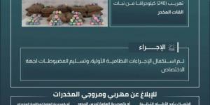 حرس الحدود بعسير يحبط تهريب 240 كيلوجرامًا من نبات القات المخدر - الكويت الاخباري
