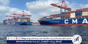 بحمولة تتجاوز 285 ألف طن.. رسو العملاقتين "أدونيس وتايتن" بميناء الإسكندرية - الكويت الاخباري