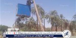 بعد إستغاثات عديدة من الأهالي.. رئيس مركز قنا يستجيب للأهالي بتركيب وزراعة أعمدة إنارة - الكويت الاخباري