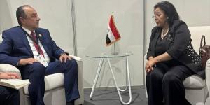 مبادرات لتفعيل الشراكة المصرية - الإفريقية في البنية التحتية والطاقة - الكويت الاخباري