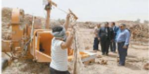 مخالفات النخيل تحقق المستحيل - الكويت الاخباري