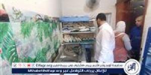 صحة الدقهلية: العلاج الحر يوصي بغلق 28 منشأة مخالفة وإنذار 6 أخرى بمدينة الكردى - الكويت الاخباري