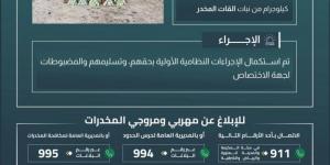 حرس الحدود بعسير يقبض على (10) مخالفين لتهريبهم (200) كيلوجرام من القات المخدر - الكويت الاخباري