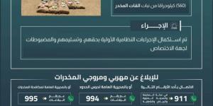 حرس الحدود بجازان يقبض على (4) مخالفين لتهريبهم (560) كيلوجرامًا من القات المخدر - الكويت الاخباري