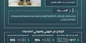 حرس الحدود بعسير يقبض على مخالفين لنظام أمن الحدود لتهريبهما 40 كيلوجرامًا من نبات القات المخدر - الكويت الاخباري
