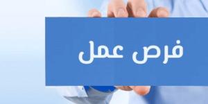 مرتبات تصل لـ10 آلاف جنيه.. وزارة العمل توفر فرصا للتوظيف في محطات المترو - الكويت الاخباري