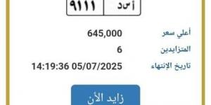 اقتربت من مليون جنيه.. مزايدة نارية على لوحة سيارة مميزة - الكويت الاخباري
