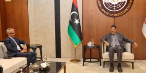 مجلس النواب يودع السفير الفرنسي بعد بحث قضايا حقوق الإنسان والأوضاع السياسية - الكويت الاخباري