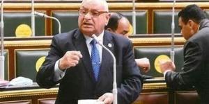 في ختام دور الانعقاد الخامس.. برلماني: هدفنا «أغلبية ومعارضة» مصلحة الوطن والمواطن - الكويت الاخباري