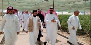 بيئة القطيف تحتفي باليوم الدولي لغابات المانجروف - الكويت الاخباري