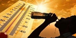 موجات الحر الطويلة خطر قاتل يزداد بقوة.. ما القصة؟ - الكويت الاخباري