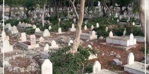 متى تكون زراعة الأشجار بجوار القبور جائزًا؟ #دين_وحياة #دار_الافتاء - الكويت الاخباري