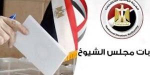 انتخابات مجلس الشيوخ.. عقوبات تصل للحبس والغرامة للتخلف عن التصويت بجولة الإعادة - الكويت الاخباري