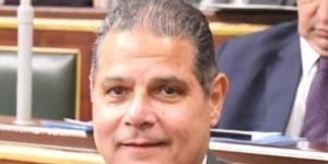 نائب: موافقة حماس على الهدنة تؤكد نجاح الوساطة المصرية وحماية المدنيين - الكويت الاخباري