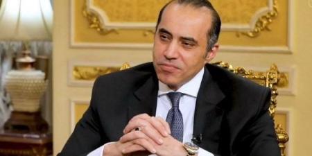 محمود فوزي: الحكومة غير مسؤولة دستورياً أمام مجلس الشيوخ - الكويت الاخباري