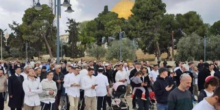 القدس في أبريل.. انتهاكات غير مسبوقة للاحتلال في المسجد الأقصى - الكويت الاخباري