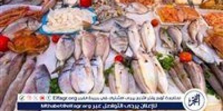 أسعار السمك اليوم الخميس 1-5-2025 في محافظة قنا - الكويت الاخباري
