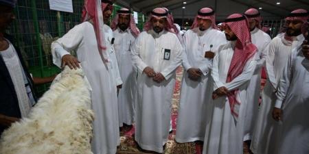 تُدشن مهرجان الأنعام الأول بجدة لتعزيز الثروة الحيوانية وتحقيق الأمن الغذائي - الكويت الاخباري