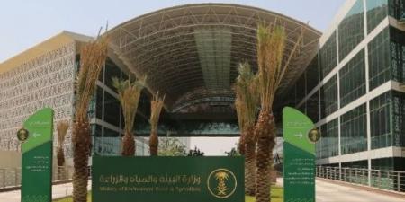 البيئة ترصد هطول أمطار في (8) مناطق وعسير الأعلى كميةً بـ(15.0) ملم في ظهران الجنوب - الكويت الاخباري