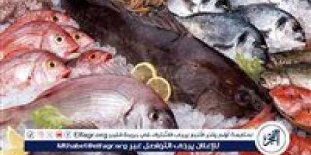 أسعار السمك البلطي والبوري اليوم الخميس 1-5-2025 في محافظة قنا - الكويت الاخباري
