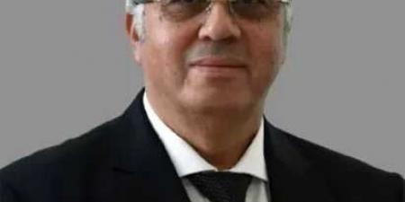 وظائف شاغرة بالمجلس الأعلى للجامعات.. إليك الشروط والأوراق المطلوبة - الكويت الاخباري