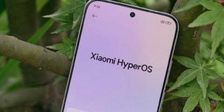 شاومي تعتزم تطوير نظام HyperOS خالٍ من خدمات جوجل - الكويت الاخباري