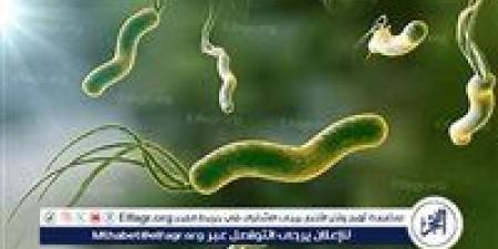 هيئة الدواء المصرية توضح: 3 عادات صحية للوقاية من جرثومة المعدة - الكويت الاخباري