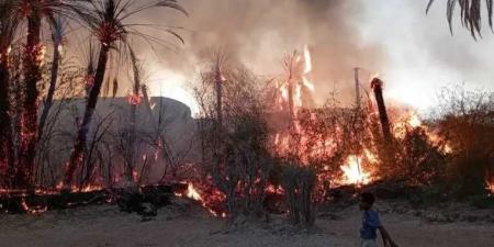 حريق هائل يلتهم أكثر من 150 نخلة شرقي اليمن - الكويت الاخباري