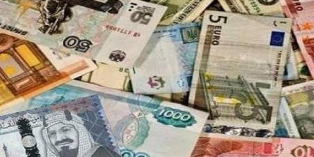 تراجع أسعار العملات العربية في مصر اليوم - الكويت الاخباري