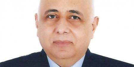 خبير استراتيجي: الحكومة المصرية صاحبة القرار في رسوم عبور قناة السويس - الكويت الاخباري
