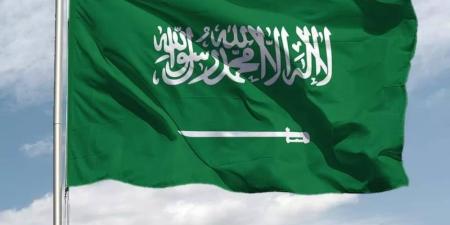 السعودية بالمرتبة الـ 41 من بين 197 دولة في تقرير مخزون البيانات المفتوحة لعام 2024م - الكويت الاخباري