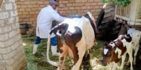 لتنمية الثروة الحيوانية.. ندوات إرشادية وتوعوية للمربيين بالمحافظات - الكويت الاخباري