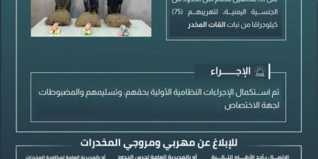 حرس الحدود بعسير يقبض على 3 مخالفين لنظام أمن الحدود لتهريبهم 75 كلجم من نبات القات المخدر - الكويت الاخباري