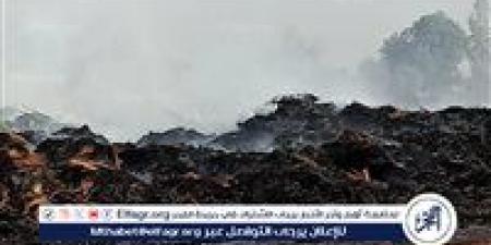 20 سيارة إطفاء للسيطرة على حريق مخزن كتان فى الغربية - الكويت الاخباري