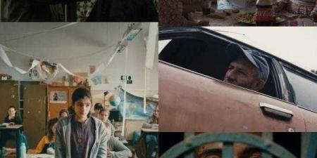 ٣٧ فيلمًا في صالات السينما و٣٢ فيلمًا على منصة cmena.nl - الكويت الاخباري
