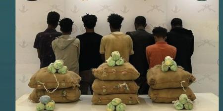 في 4 مناطق.. ضبط 16 شخصا بتهمة تهريب وترويج المخدرات - الكويت الاخباري