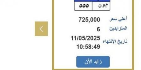 سعرها وصل 725 ألف جنيه.. مزايدة نارية على لوحة سيارة مميزة - الكويت الاخباري