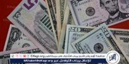 "شبكة تجفيف العملة".. أولى جلسات محاكمة 9 متهمين بينهم كويتي بتهمة ضرب الاقتصاد الوطني - الكويت الاخباري