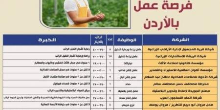 45 فرصة عمل للمصريين في الأردن بمختلف المجالات | التخصصات وآخر موعد للتقديم - الكويت الاخباري