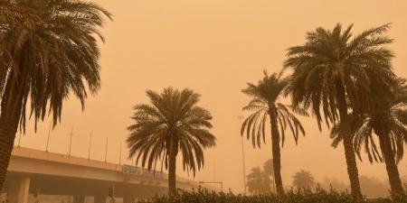 «الارصاد»: انخفاض الرؤية ونشاط للرياح  بسرعة 50 كم/ساعة - الكويت الاخباري