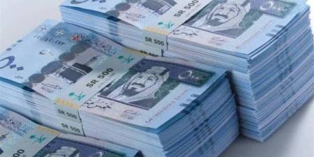 استقرار سعر الريال السعودي أمام الجنيه المصري اليوم الإثنين 12 مايو 2025 - الكويت الاخباري