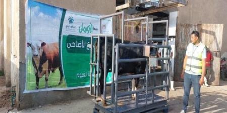 إطلاق 4 أنواع من صكوك الأضاحي لدعم الأسر الأولى بالرعاية في الفيوم - الكويت الاخباري