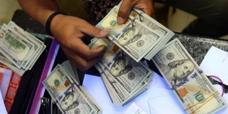 مضبوطات بـ 9 ملايين جنيه.. الأمن يواصل ملاحقة تجار العملة بالمحافظات - الكويت الاخباري