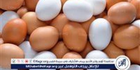 أسعار طبق البيض اليوم الثلاثاء 13-5-2025 في قنا - الكويت الاخباري