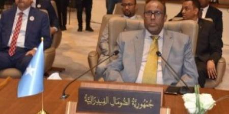 مندوب الصومال بالجامعة العربية يدعو لتضافر الجهود لتحقيق التنمية الشاملة - الكويت الاخباري
