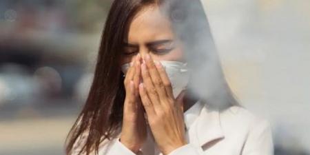 خبير مناعة الأتربة والتلوث يفاقمان معاناة أصحاب الأمراض المزمنة - الكويت الاخباري